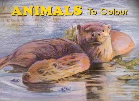 animal pictures for kids to colour. Full page color illustration of an animal followed by full page of that 