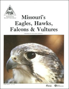 Missouri Hawks Identification