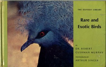 Exotic Birds on Rare Exotic Birds Odyssey Library By Murphy Dr Robert Cushman Combines