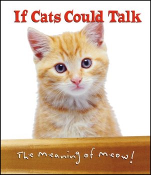 If cat's could talk!