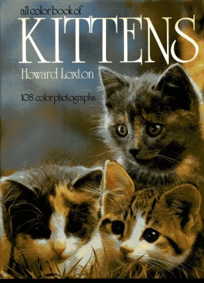 Pictures Of Kittens To Color. All Color Book Of Kittens