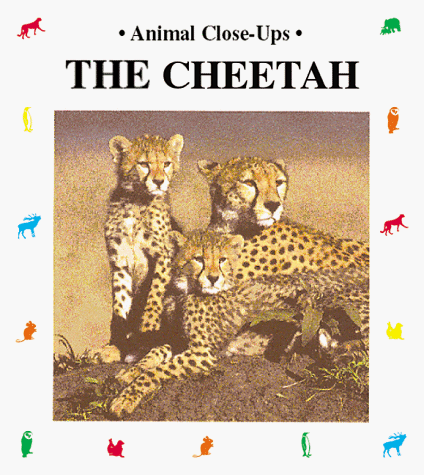 What is the life cycle of a cheetah?