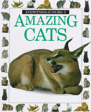 Zoobooks little cats hotsell