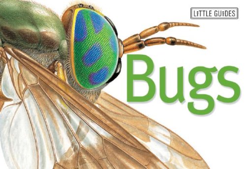 Fat Caterpillar From Bugs Life. A fat, pocket-size book