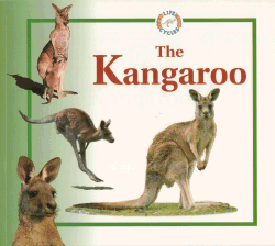 WXICOF - Children's Marsupial Books