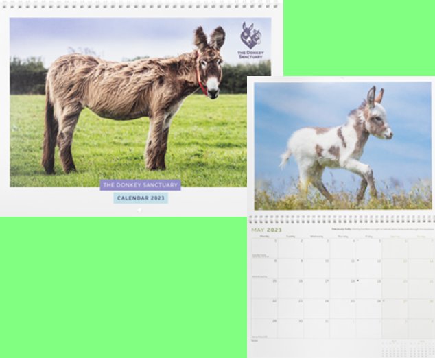 WXICOF Donkey & Mule Calendars