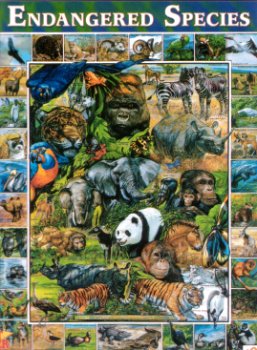 Endangered Species Puzzle