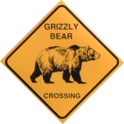 Grizzly Bear Crossing Magnet