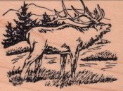 Elk Rubber Stamp