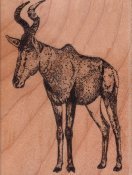Hartebeest Rubber Stamp