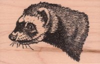 Ferret Head Rubber Stamp