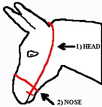 Donkey Nose Measure Technique